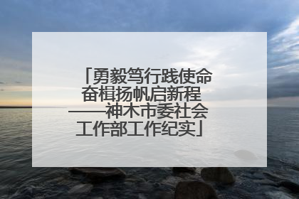 勇毅笃行践使命 奋楫扬帆启新程——神木市委社会工作部工作纪实