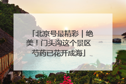 北京号最精彩｜绝美！门头沟这个景区芍药已花开成海
