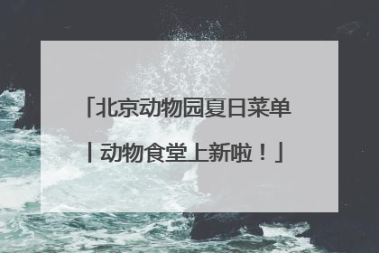 北京动物园夏日菜单丨动物食堂上新啦！