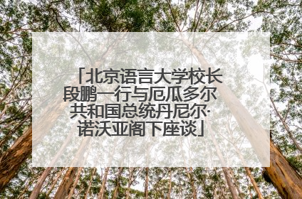 北京语言大学校长段鹏一行与厄瓜多尔共和国总统丹尼尔·诺沃亚阁下座谈