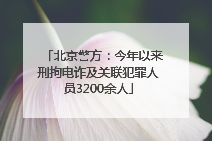 北京警方：今年以来刑拘电诈及关联犯罪人员3200余人
