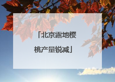 北京露地樱桃产量锐减