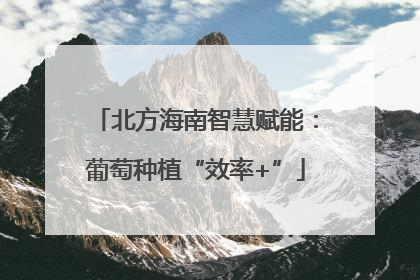 北方海南智慧赋能：葡萄种植“效率+”