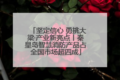坚定信心 勇挑大梁·产业新亮点丨秦皇岛智慧消防产品占全国市场超四成