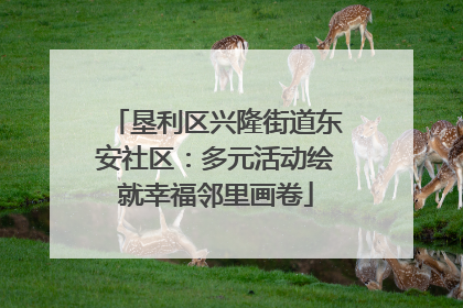 垦利区兴隆街道东安社区：多元活动绘就幸福邻里画卷