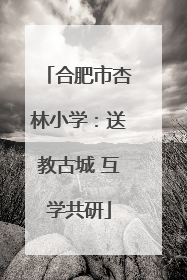 合肥市杏林小学：送教古城 互学共研
