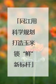 同江用科学规划打造玉米锁“鲜”新标杆