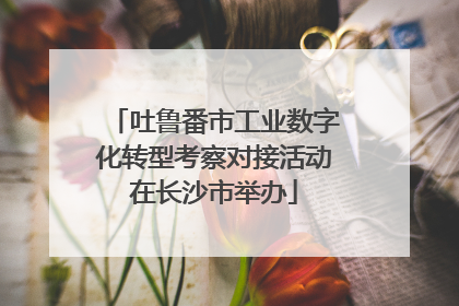 吐鲁番市工业数字化转型考察对接活动在长沙市举办