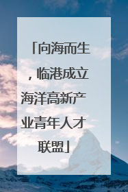 向海而生，临港成立海洋高新产业青年人才联盟