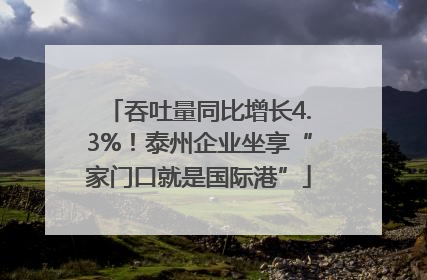 吞吐量同比增长4.3%！泰州企业坐享“家门口就是国际港”
