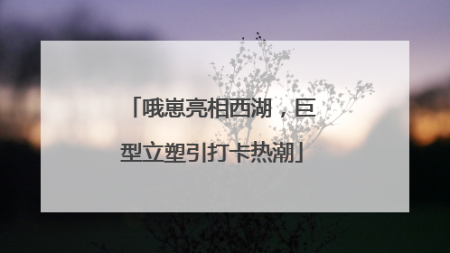 哦崽亮相西湖，巨型立塑引打卡热潮
