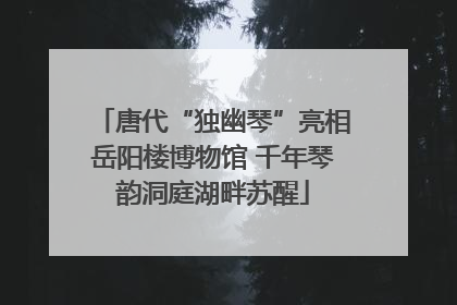 唐代“独幽琴”亮相岳阳楼博物馆 千年琴韵洞庭湖畔苏醒