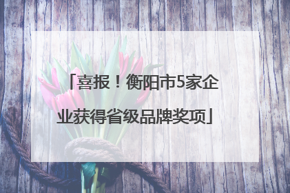 喜报！衡阳市5家企业获得省级品牌奖项