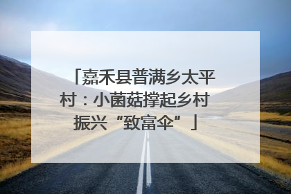 嘉禾县普满乡太平村：小菌菇撑起乡村振兴“致富伞”
