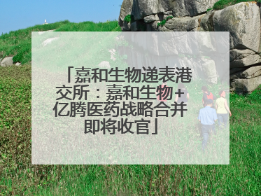 嘉和生物递表港交所：嘉和生物+亿腾医药战略合并即将收官