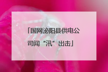 国网泌阳县供电公司闻“汛”出击