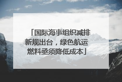 国际海事组织减排新规出台，绿色航运燃料亟须降低成本