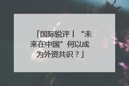 国际锐评丨“未来在中国”何以成为外资共识？
