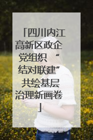 四川内江高新区政企党组织 “结对联建” 共绘基层治理新画卷