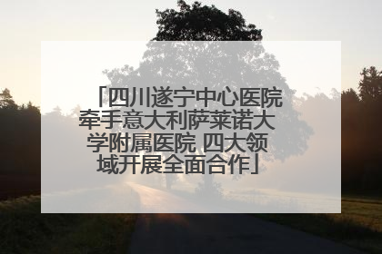 四川遂宁中心医院牵手意大利萨莱诺大学附属医院 四大领域开展全面合作