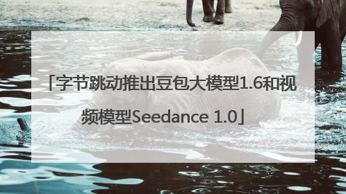 字节跳动推出豆包大模型1.6和视频模型Seedance 1.0