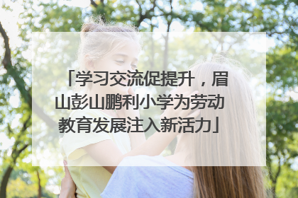 学习交流促提升，眉山彭山鹏利小学为劳动教育发展注入新活力
