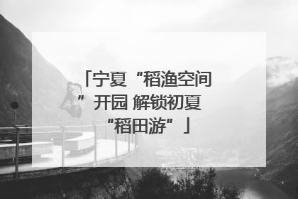 宁夏“稻渔空间”开园 解锁初夏“稻田游”