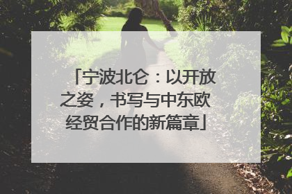 宁波北仑：以开放之姿，书写与中东欧经贸合作的新篇章