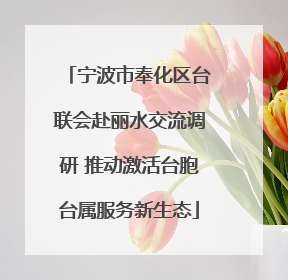 宁波市奉化区台联会赴丽水交流调研 推动激活台胞台属服务新生态