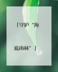 守护“海底雨林”