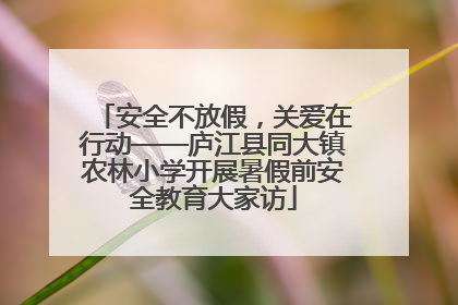 安全不放假，关爱在行动——庐江县同大镇农林小学开展暑假前安全教育大家访