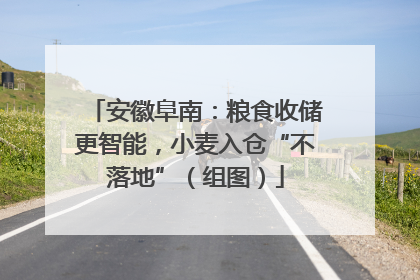 安徽阜南：粮食收储更智能，小麦入仓“不落地”（组图）