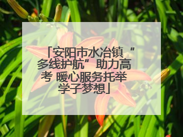 安阳市水冶镇“多线护航”助力高考 暖心服务托举学子梦想