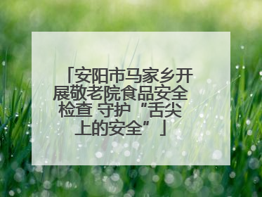安阳市马家乡开展敬老院食品安全检查 守护“舌尖上的安全”