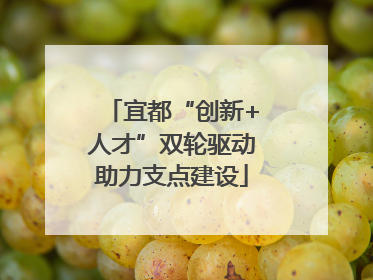 宜都“创新+人才”双轮驱动助力支点建设