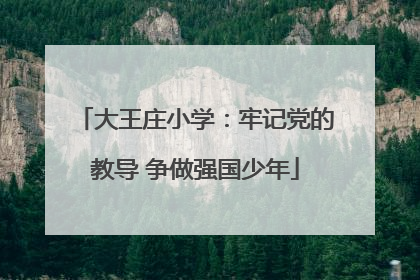 大王庄小学：牢记党的教导 争做强国少年