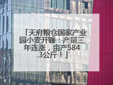 天府粮仓国家产业园小麦开镰：产量三年连涨，亩产584.3公斤！