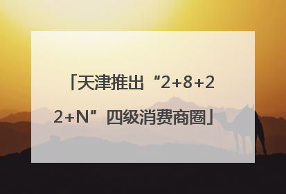 天津推出“2+8+22+N”四级消费商圈