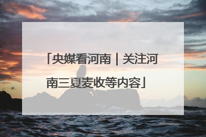 央媒看河南｜关注河南三夏麦收等内容