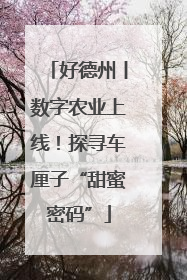 好德州丨数字农业上线！探寻车厘子“甜蜜密码”