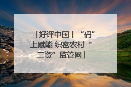 好评中国丨“码”上赋能 织密农村“三资”监管网