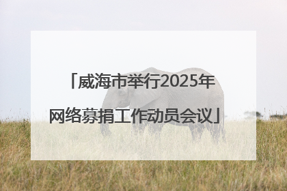 威海市举行2025年网络募捐工作动员会议