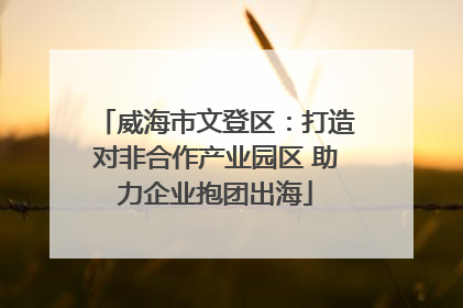 威海市文登区：打造对非合作产业园区 助力企业抱团出海