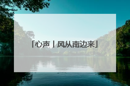 心声丨风从南边来