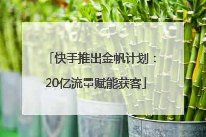 快手推出金帆计划：20亿流量赋能获客