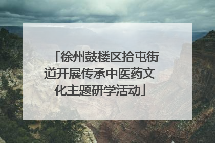 徐州鼓楼区拾屯街道开展传承中医药文化主题研学活动