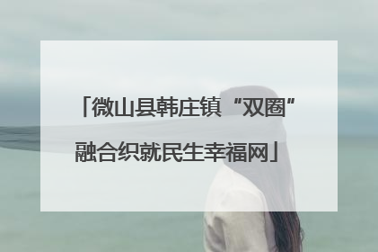 微山县韩庄镇“双圈”融合织就民生幸福网