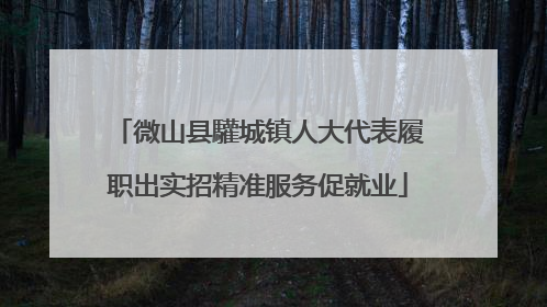 微山县驩城镇人大代表履职出实招精准服务促就业