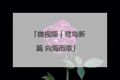 微视频｜鹭岛新篇 向海而歌