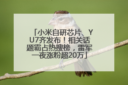 小米自研芯片、YU7齐发布！相关话题霸占热搜榜，雷军一夜涨粉超20万